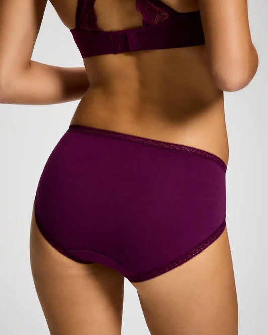 Cotton High-Leg Brief Panty with Lace Trim